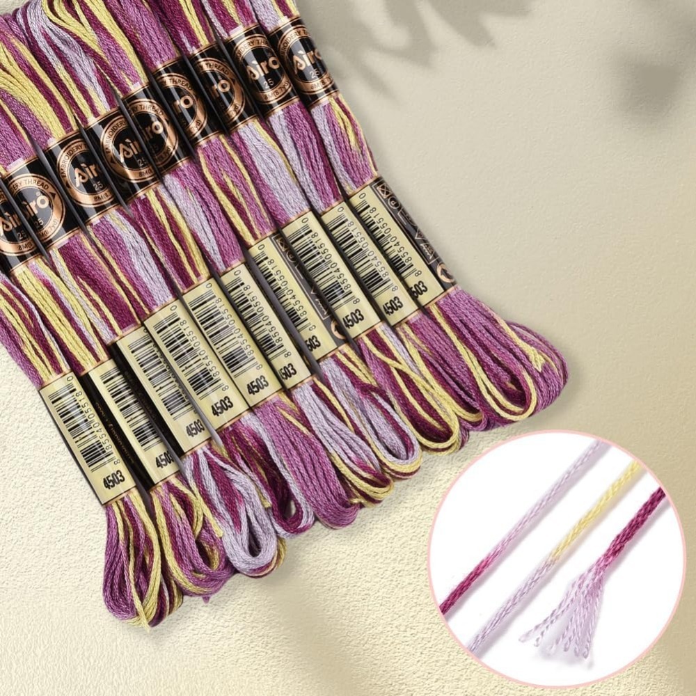 Fil à broder panaché violet, 6 - Embroidery Threads avis et prix