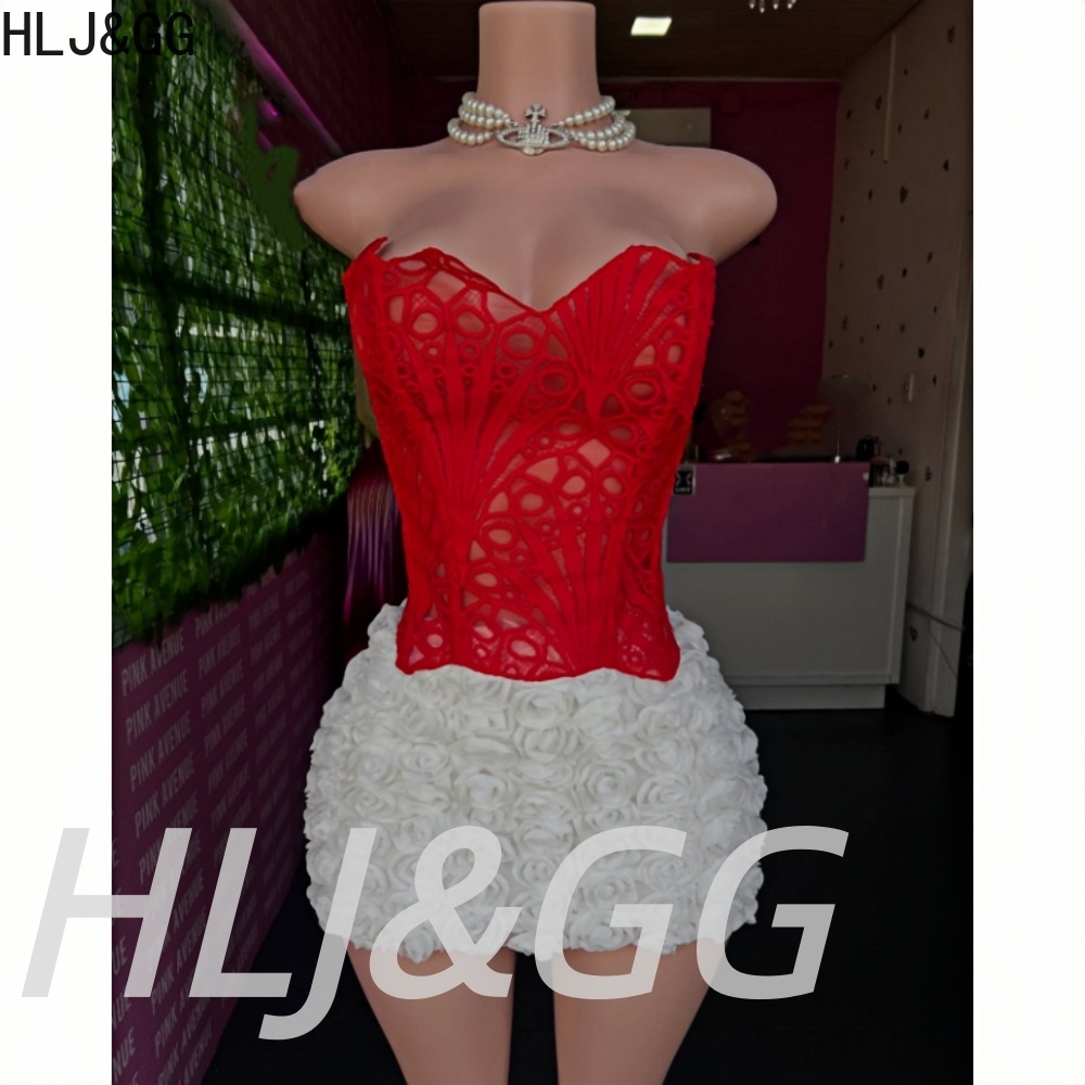 HLJ&GG – ensemble deux pièces  - Embroidery Skirt avis et prix