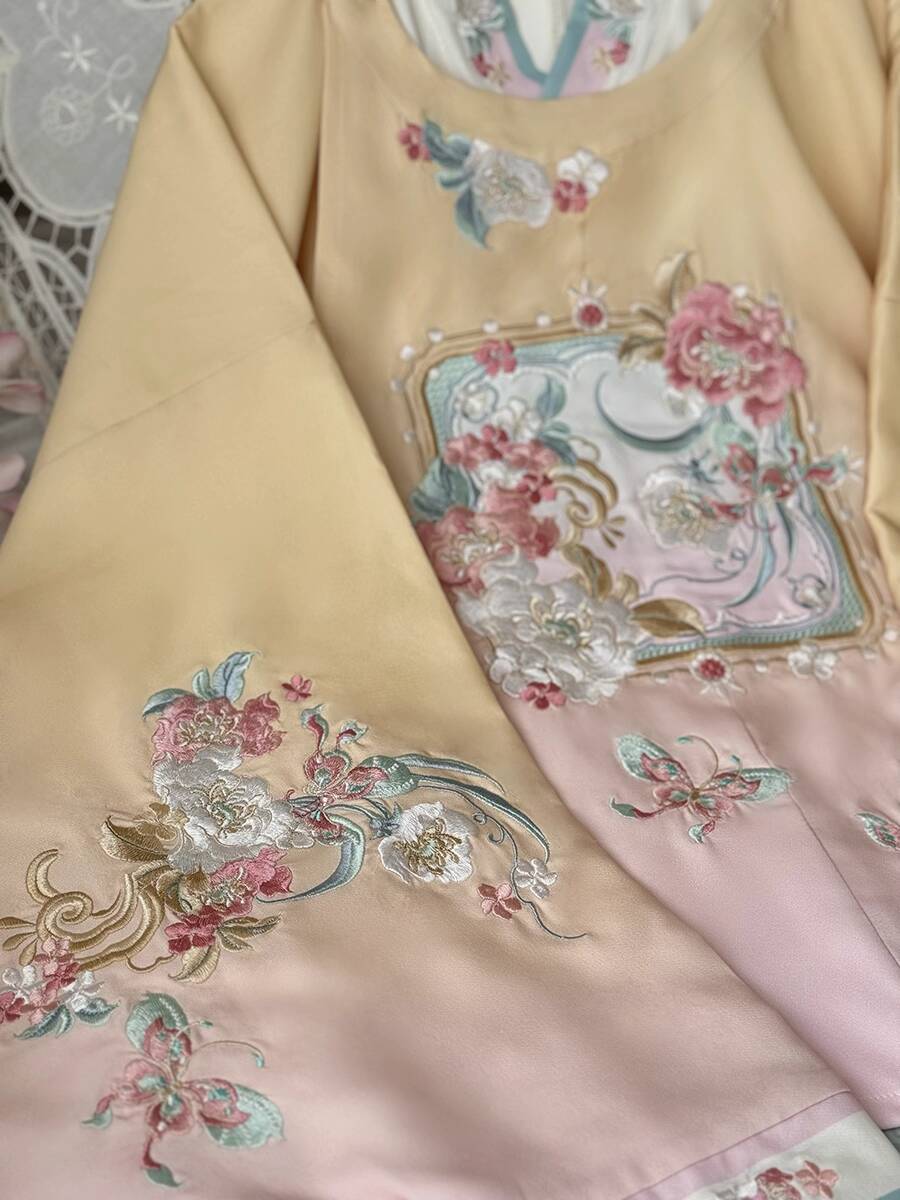 Nouveau Hanfu femmes Ming syst - Embroidery Skirt avis et prix