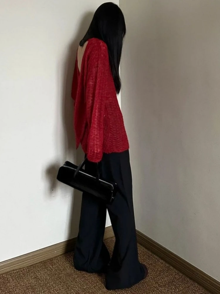 T-shirt en tricot transparent  - Embroidery Shirt avis et prix